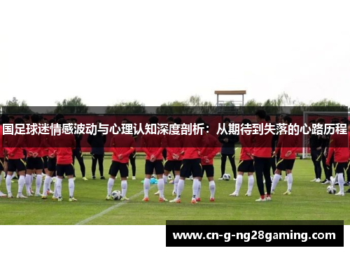 国足球迷情感波动与心理认知深度剖析：从期待到失落的心路历程