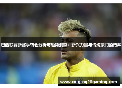 巴西联赛新赛季转会分析与趋势洞察：新兴力量与传统豪门的博弈