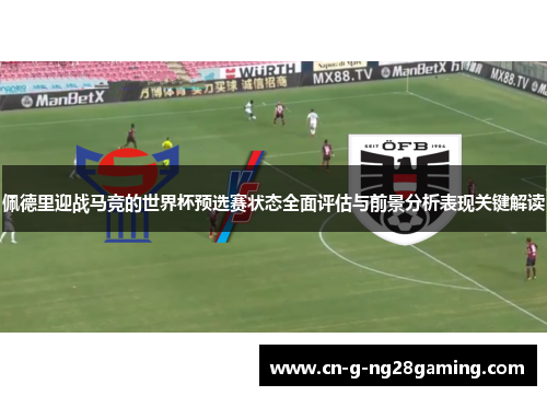 佩德里迎战马竞的世界杯预选赛状态全面评估与前景分析表现关键解读