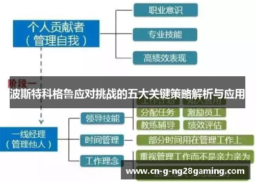 波斯特科格鲁应对挑战的五大关键策略解析与应用